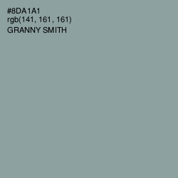 #8DA1A1 - Granny Smith Color Image